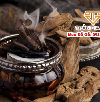 Gỗ Gì Có Mùi Thơm Nhất? Cẩm Nang Chọn Gỗ Thơm Bền Đẹp Cho Người Mê Hương Mộc