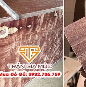 Gỗ Gì Cứng Nhất Việt Nam – Bí Quyết Chọn Gỗ Siêu Bền Cho Nội Thất