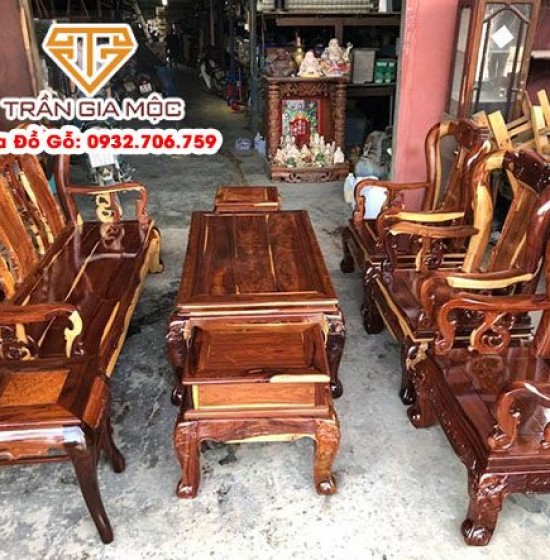 Gỗ Gì Không Bị Mối Mọt? Bí Quyết Chọn Gỗ Bền Đẹp Cho Ngôi Nhà Việt